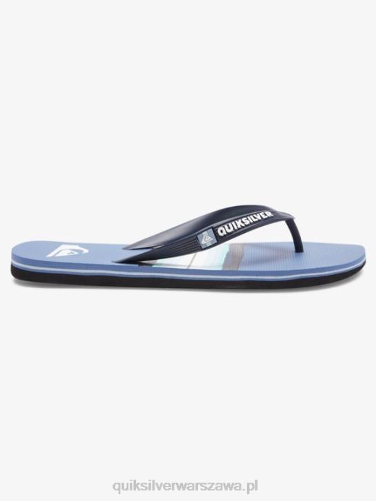 mężczyźni Quiksilver Japonki molokai w odcieniu żywicy 4DBV1790 szary 1