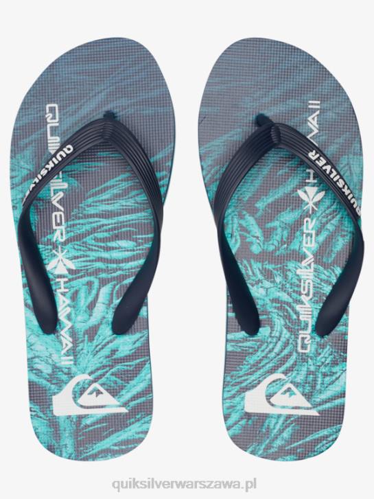 mężczyźni Quiksilver domowe klapki molokai 4DBV1861 zielony 1