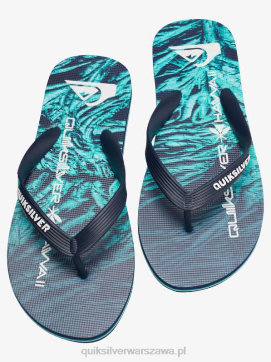 mężczyźni Quiksilver domowe klapki molokai 4DBV1861 zielony 1