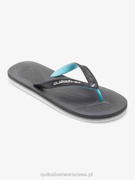 mężczyźni Quiksilver japonki haleiwa core 4DBV952 szary 2