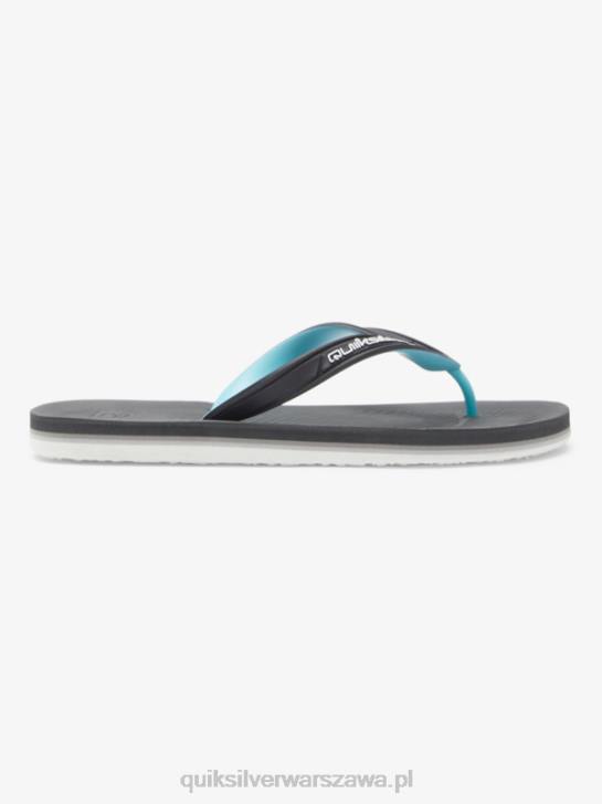 mężczyźni Quiksilver japonki haleiwa core 4DBV952 szary 2