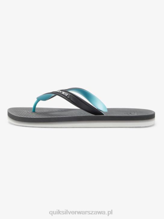 mężczyźni Quiksilver japonki haleiwa core 4DBV952 szary 2