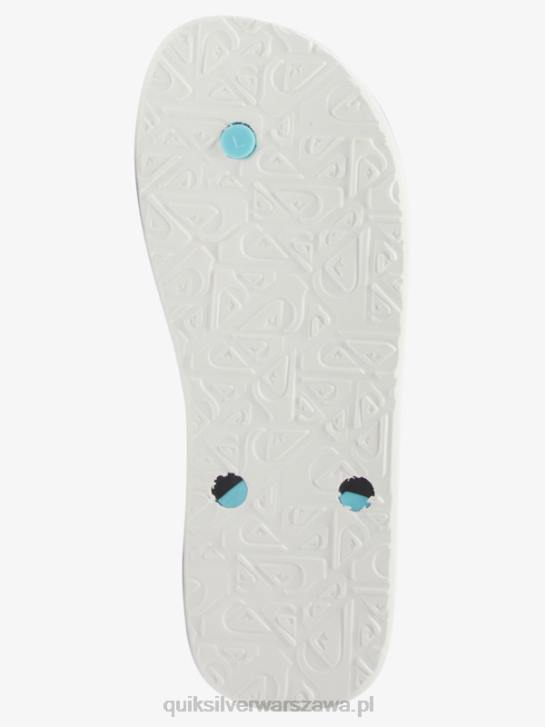 mężczyźni Quiksilver japonki haleiwa core 4DBV952 szary 2