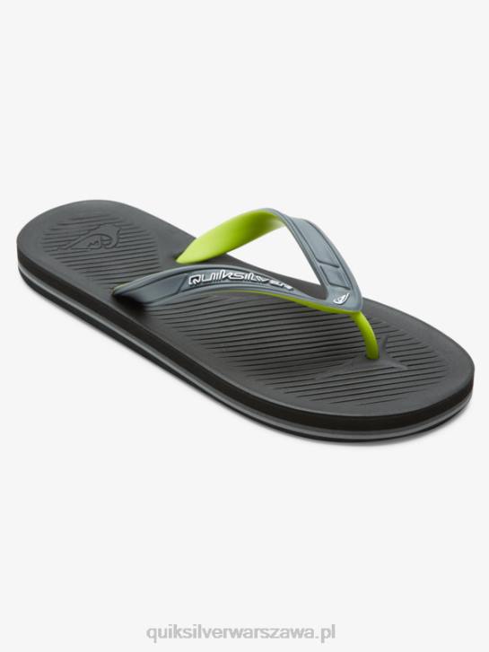 mężczyźni Quiksilver japonki haleiwa core 4DBV953 szary 1