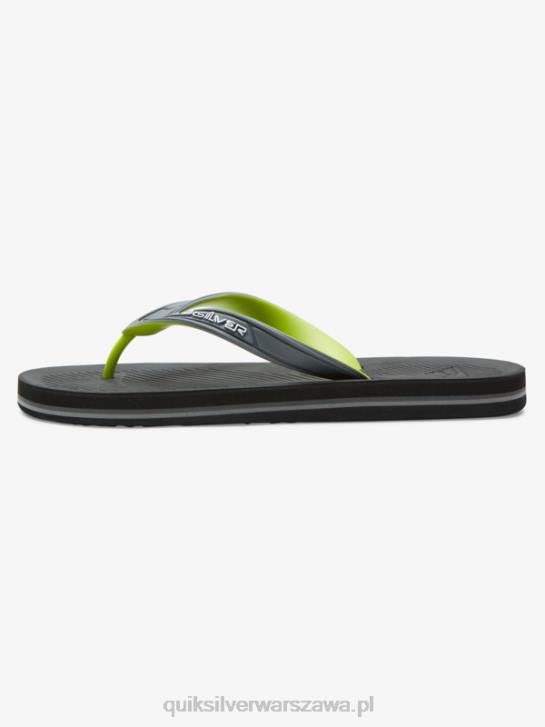 mężczyźni Quiksilver japonki haleiwa core 4DBV953 szary 1