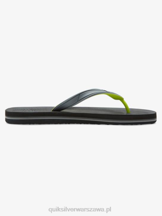 mężczyźni Quiksilver japonki haleiwa core 4DBV953 szary 1