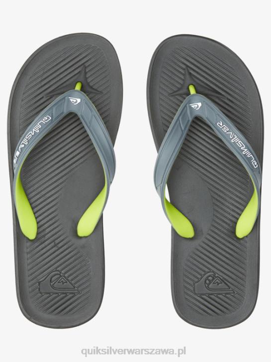 mężczyźni Quiksilver japonki haleiwa core 4DBV953 szary 1