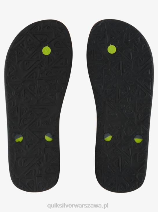 mężczyźni Quiksilver japonki haleiwa core 4DBV953 szary 1