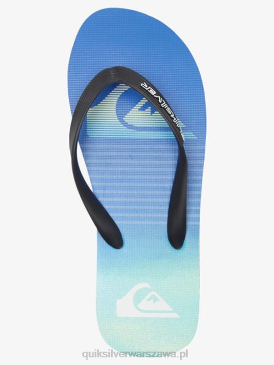 mężczyźni Quiksilver japonki molokai art 4DBV518 czarny/zielony/niebieski