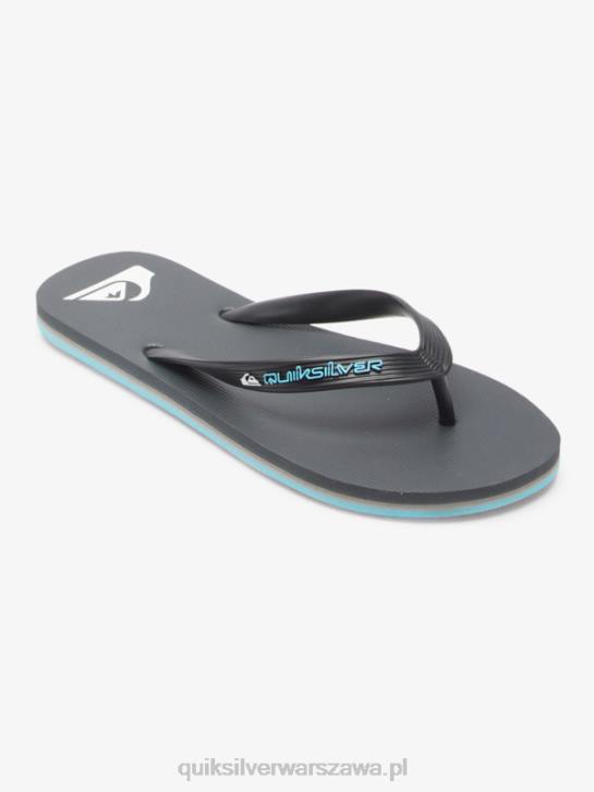 mężczyźni Quiksilver japonki molokai core 4DBV594 szary 4