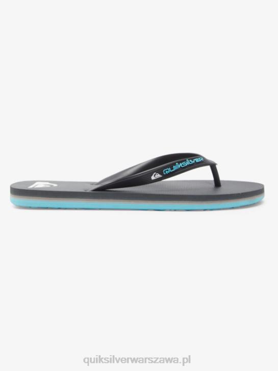 mężczyźni Quiksilver japonki molokai core 4DBV594 szary 4