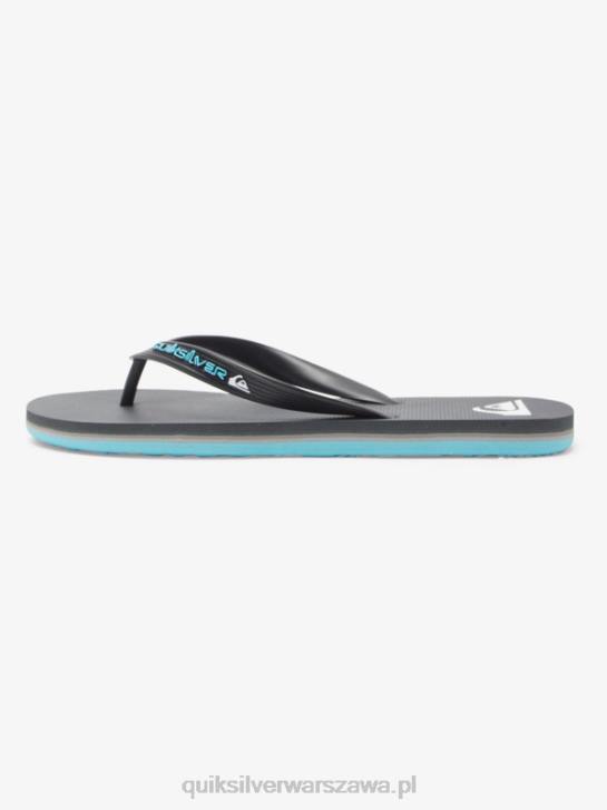 mężczyźni Quiksilver japonki molokai core 4DBV594 szary 4