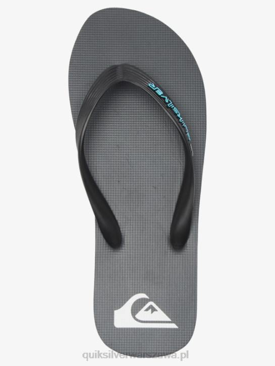 mężczyźni Quiksilver japonki molokai core 4DBV594 szary 4