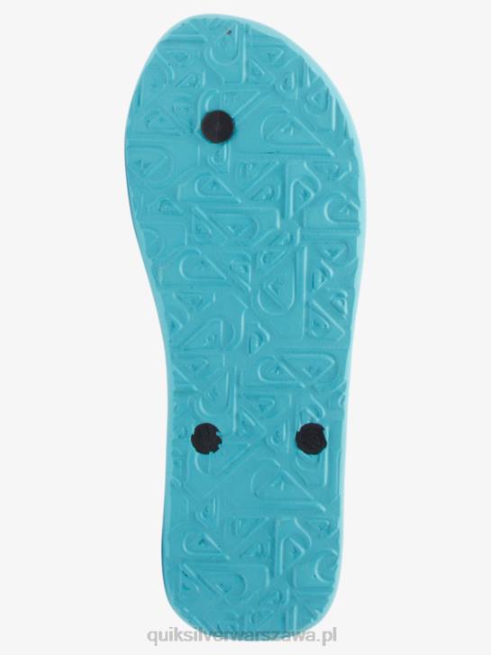 mężczyźni Quiksilver japonki molokai core 4DBV594 szary 4