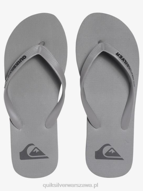 mężczyźni Quiksilver klapki molokai 4DBV1590 szary
