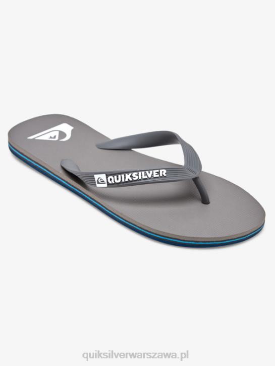 mężczyźni Quiksilver klapki molokai 4DBV1592 szary 3