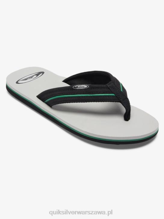 mężczyźni Quiksilver sandały molokai luźna saturn 4DBV1294 szary 1