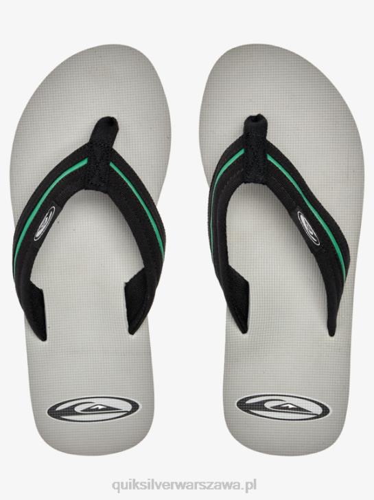 mężczyźni Quiksilver sandały molokai luźna saturn 4DBV1294 szary 1