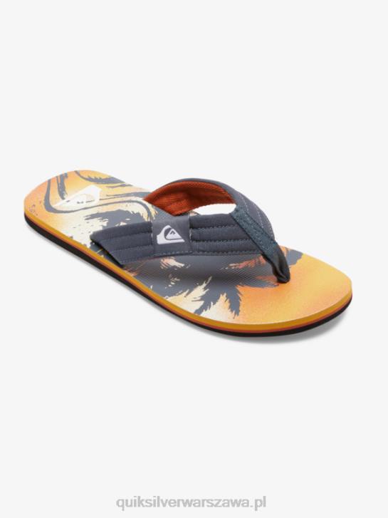 mężczyźni Quiksilver wygodne sandały molokai 4DBV493 szary 1