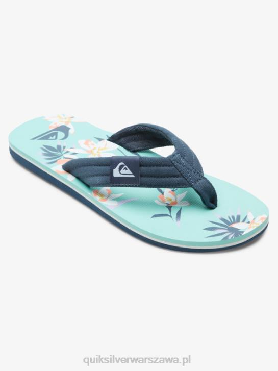 mężczyźni Quiksilver wygodne sandały molokai 4DBV505 niebieski zielony