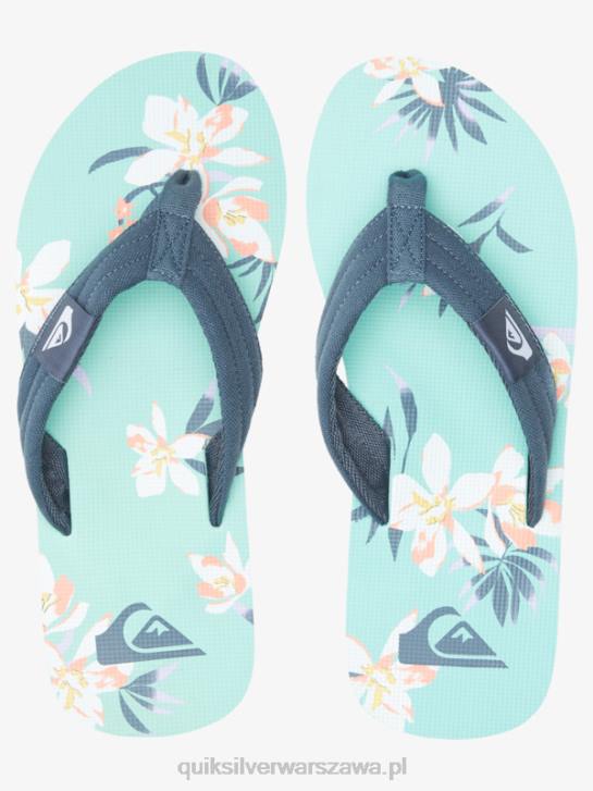 mężczyźni Quiksilver wygodne sandały molokai 4DBV505 niebieski zielony