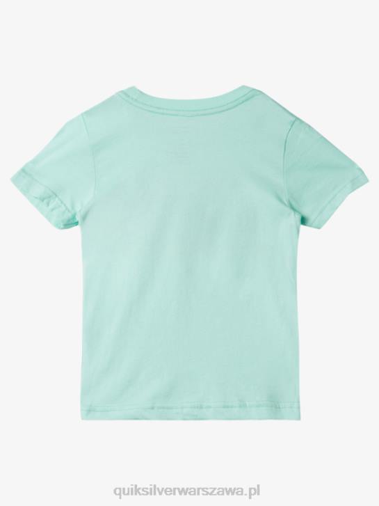 chłopcy Quiksilver Tradycyjna koszulka 2-7 rad 4DBV1958 szkło plażowe