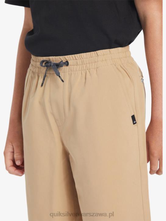 chłopcy Quiksilver Hybrydowe szorty amph yth 18 8-16 Ocean Elastic 4DBV2257 plac