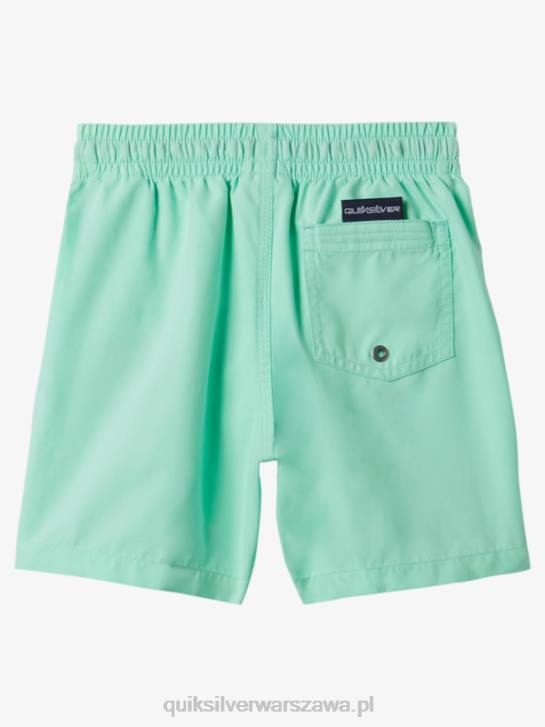 chłopcy Quiksilver 2-7 codziennie 12 salw 4DBV1999 szkło plażowe