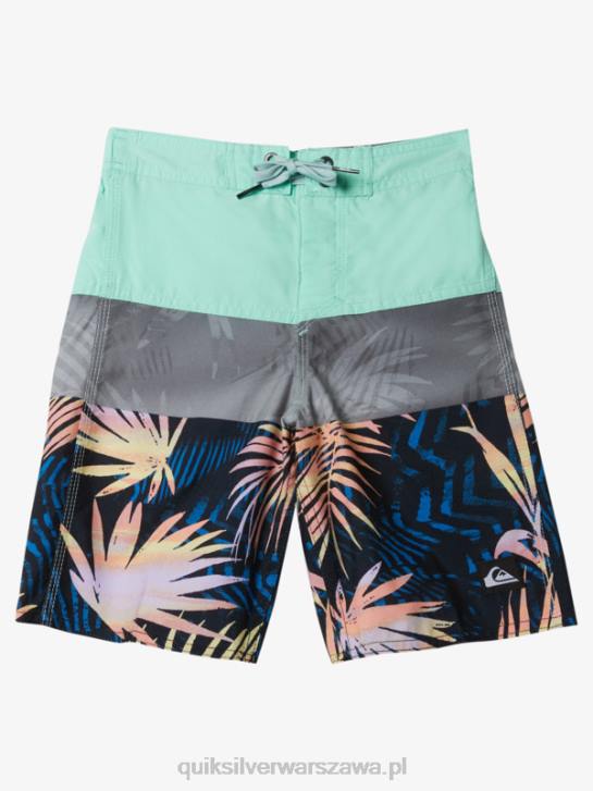 chłopcy Quiksilver 2-7 codziennych paneli 14 szortów 4DBV1899 szkło plażowe
