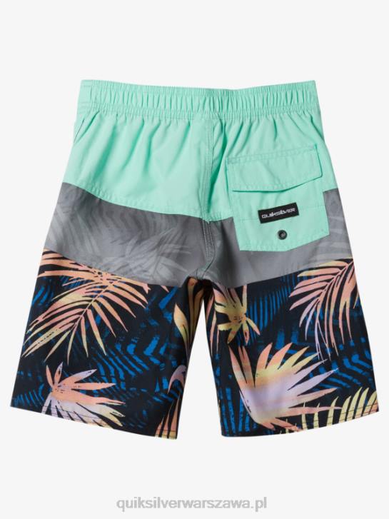 chłopcy Quiksilver 2-7 codziennych paneli 14 szortów 4DBV1899 szkło plażowe