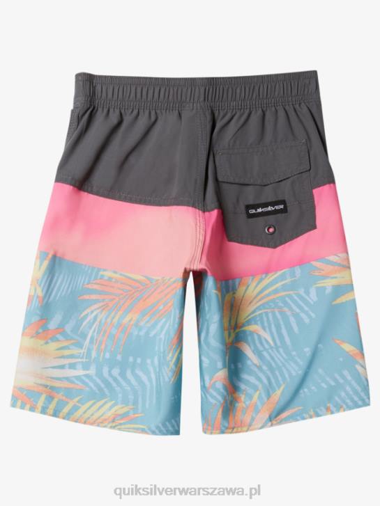 chłopcy Quiksilver 2-7 codziennych paneli 14 szortów 4DBV1900 Stalowa brama