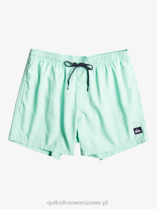 chłopcy Quiksilver 8-16 codziennie 15 salw 4DBV1919 szkło plażowe