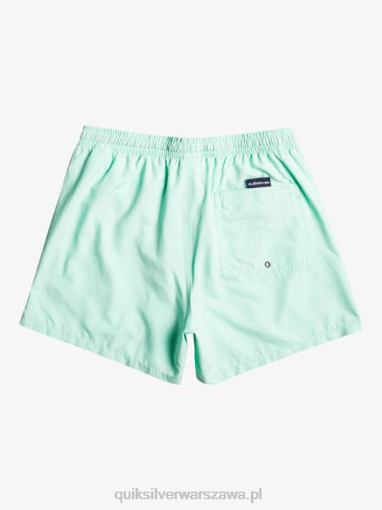 chłopcy Quiksilver 8-16 codziennie 15 salw 4DBV1919 szkło plażowe