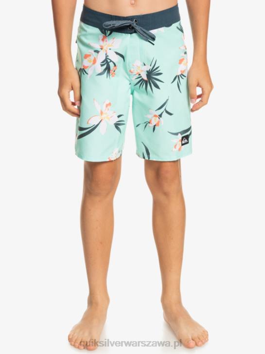 chłopcy Quiksilver 8-16 codziennie qs 69 16 szorty 4DBV2140 szkło plażowe