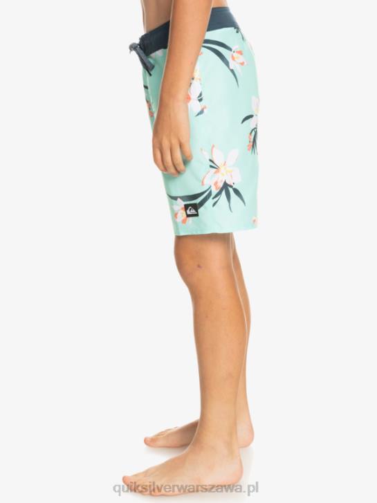 chłopcy Quiksilver 8-16 codziennie qs 69 16 szorty 4DBV2140 szkło plażowe