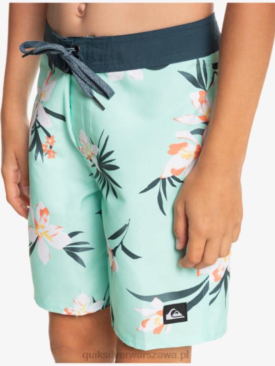 chłopcy Quiksilver 8-16 codziennie qs 69 16 szorty 4DBV2140 szkło plażowe