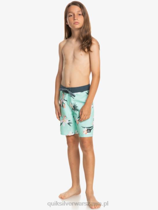 chłopcy Quiksilver 8-16 codziennie qs 69 16 szorty 4DBV2140 szkło plażowe