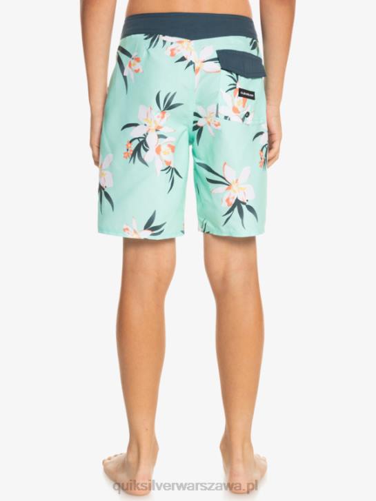 chłopcy Quiksilver 8-16 codziennie qs 69 16 szorty 4DBV2140 szkło plażowe