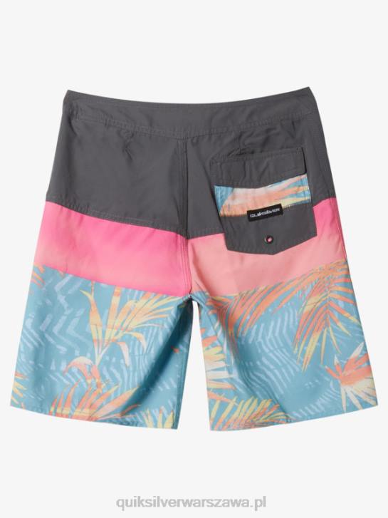 chłopcy Quiksilver 8-16 codziennych paneli 17 szortów 4DBV1905 Stalowa brama