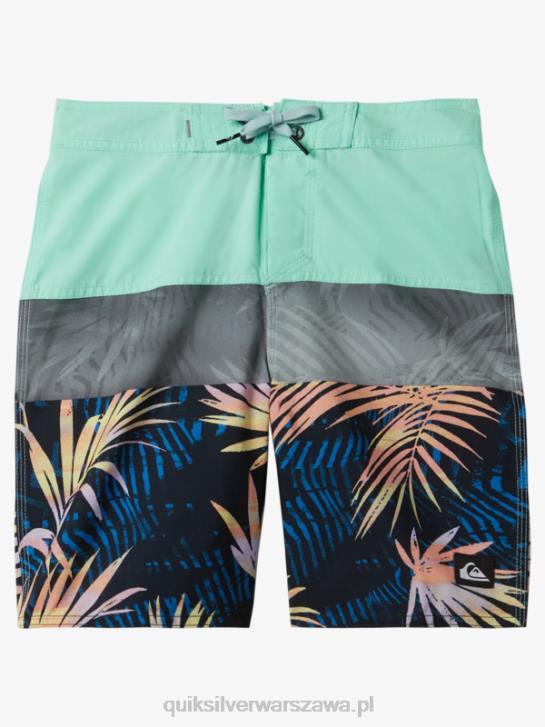 chłopcy Quiksilver 8-16 codziennych paneli 17 szortów 4DBV1907 szkło plażowe