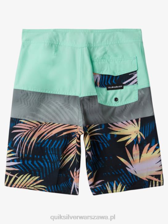 chłopcy Quiksilver 8-16 codziennych paneli 17 szortów 4DBV1907 szkło plażowe