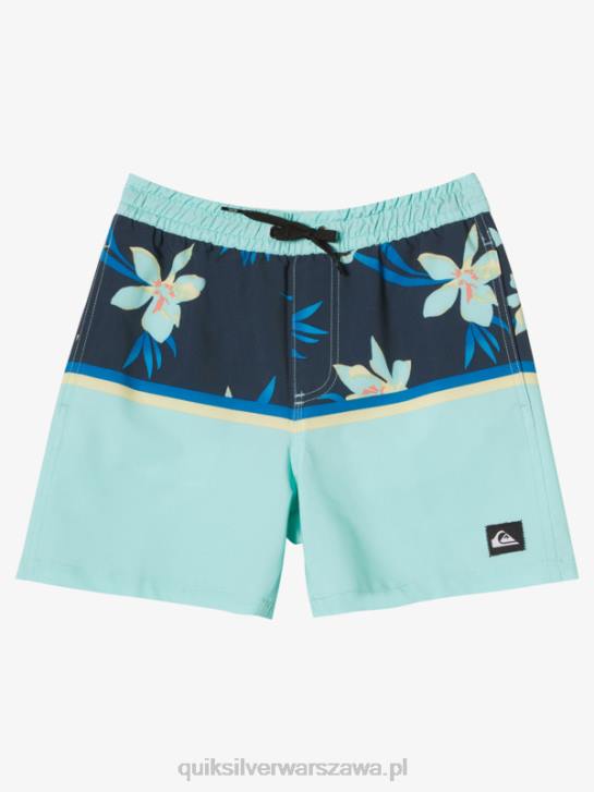 chłopcy Quiksilver 8-16 dywizja surfsilk vl 14 salw 4DBV2141 szkło plażowe