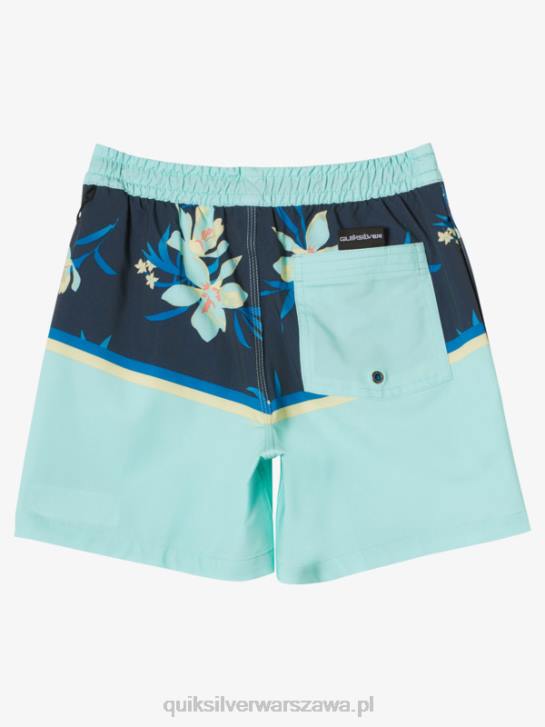chłopcy Quiksilver 8-16 dywizja surfsilk vl 14 salw 4DBV2141 szkło plażowe