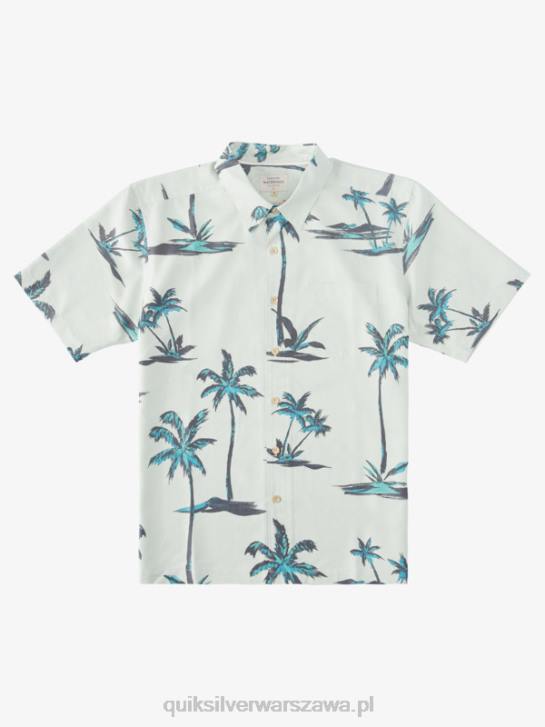 mężczyźni Quiksilver Hawajska koszula z krótkim rękawem Waterman Sea Breeze 4DBV1500 subtelna zielona morska bryza