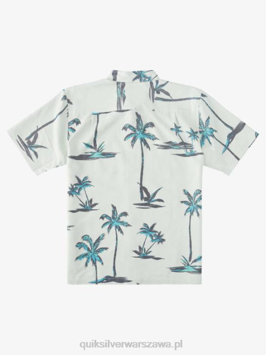 mężczyźni Quiksilver Hawajska koszula z krótkim rękawem Waterman Sea Breeze 4DBV1500 subtelna zielona morska bryza