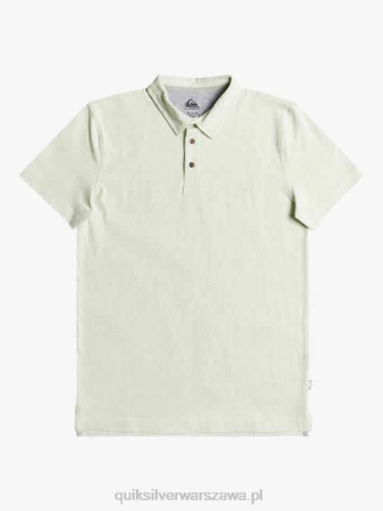 mężczyźni Quiksilver codzienna koszulka polo z krótkim rękawem Sun Cruise 4DBV1554 seledyn