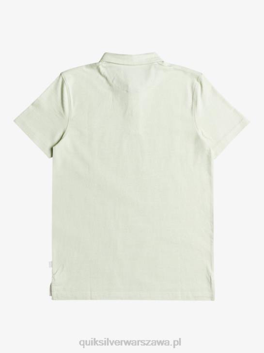 mężczyźni Quiksilver codzienna koszulka polo z krótkim rękawem Sun Cruise 4DBV1554 seledyn