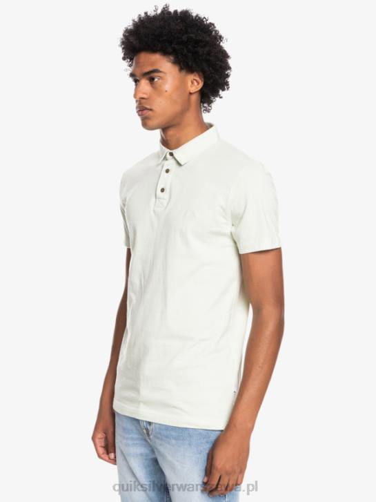 mężczyźni Quiksilver codzienna koszulka polo z krótkim rękawem Sun Cruise 4DBV1554 seledyn