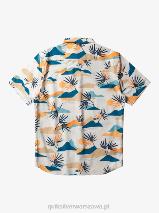 mężczyźni Quiksilver powolna oszołomiona koszulka z krótkim rękawem 4DBV666 brzoza powolne oszołomienie ss