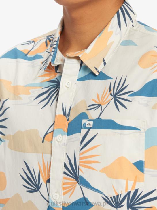mężczyźni Quiksilver powolna oszołomiona koszulka z krótkim rękawem 4DBV666 brzoza powolne oszołomienie ss